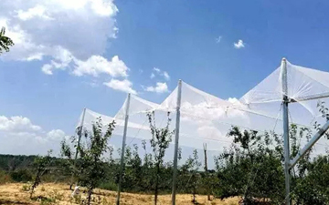 防雹網一畝需多少錢