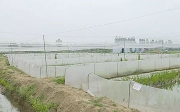 十畝地圍網需要多少錢