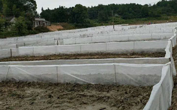 養青蛙用的紗網哪里有賣